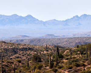 Preview wallpaper prairies, cacti, mountains, distance