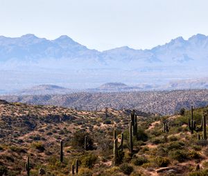 Preview wallpaper prairies, cacti, mountains, distance