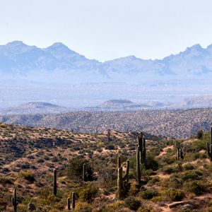 Preview wallpaper prairies, cacti, mountains, distance