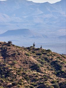 Preview wallpaper prairies, cacti, relief, hills