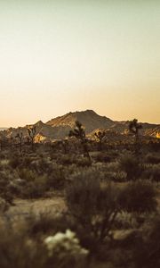 Preview wallpaper prairies, desert, valley, trees, hill