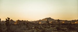 Preview wallpaper prairies, desert, valley, trees, hill