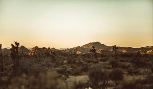 Preview wallpaper prairies, desert, valley, trees, hill