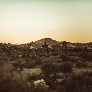 Preview wallpaper prairies, desert, valley, trees, hill