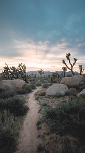 Preview wallpaper prairies, valley, stones, path