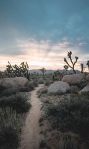 Preview wallpaper prairies, valley, stones, path