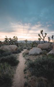 Preview wallpaper prairies, valley, stones, path