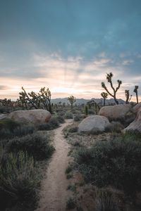 Preview wallpaper prairies, valley, stones, path