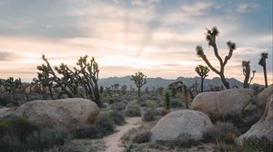 Preview wallpaper prairies, valley, stones, path