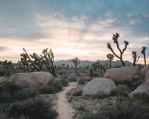 Preview wallpaper prairies, valley, stones, path