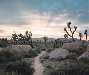 Preview wallpaper prairies, valley, stones, path