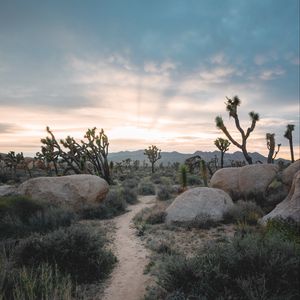 Preview wallpaper prairies, valley, stones, path