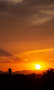 Preview wallpaper prairies, valley, sunset, cactus, sun