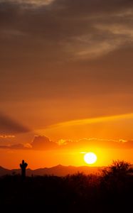 Preview wallpaper prairies, valley, sunset, cactus, sun