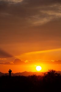 Preview wallpaper prairies, valley, sunset, cactus, sun