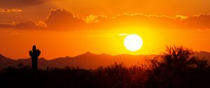 Preview wallpaper prairies, valley, sunset, cactus, sun