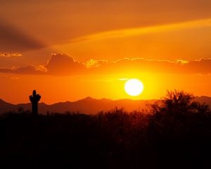 Preview wallpaper prairies, valley, sunset, cactus, sun