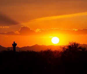 Preview wallpaper prairies, valley, sunset, cactus, sun