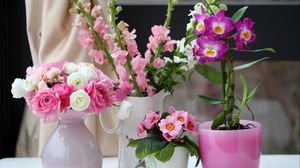Preview wallpaper primrose, ranunkulyus, orchid, gillyflower, flowers, beauty
