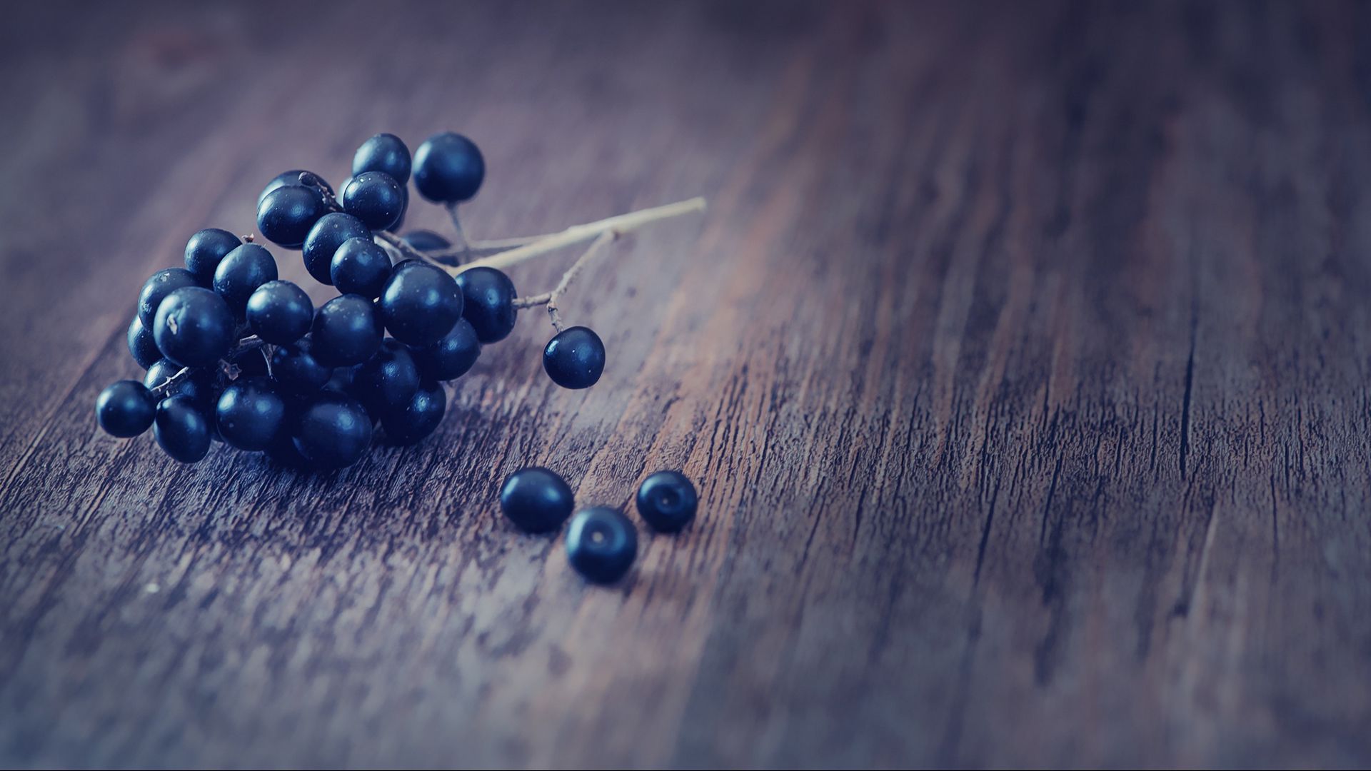 Download wallpaper 1920x1080 privet, berry, close-up full hd, hdtv, fhd