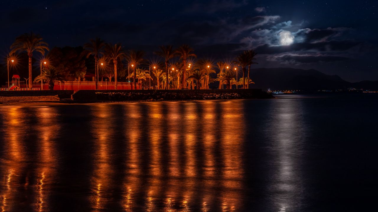 Wallpaper promenade, palm trees, lights, water, reflection, night, dark