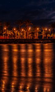 Preview wallpaper promenade, palm trees, lights, water, reflection, night, dark