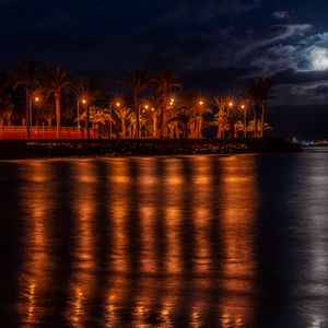 Preview wallpaper promenade, palm trees, lights, water, reflection, night, dark