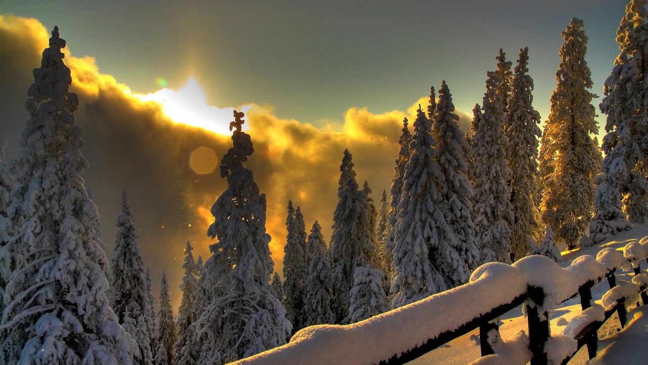 Wallpaper protection, sun, patches of light, snow, wood, mountains, clouds, gleams
