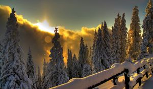Preview wallpaper protection, sun, patches of light, snow, wood, mountains, clouds, gleams