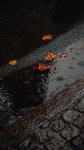 Preview wallpaper puddle, foliage, rain, wet, asphalt