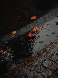 Preview wallpaper puddle, foliage, rain, wet, asphalt