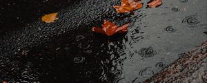 Preview wallpaper puddle, foliage, rain, wet, asphalt