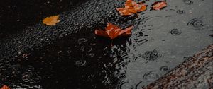 Preview wallpaper puddle, foliage, rain, wet, asphalt
