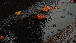 Preview wallpaper puddle, foliage, rain, wet, asphalt