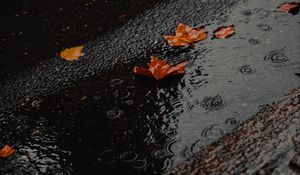 Preview wallpaper puddle, foliage, rain, wet, asphalt