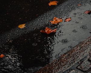 Preview wallpaper puddle, foliage, rain, wet, asphalt