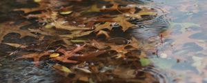 Preview wallpaper puddle, leaves, rain, drops, water, autumn