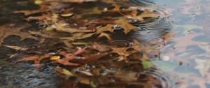 Preview wallpaper puddle, leaves, rain, drops, water, autumn