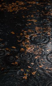 Preview wallpaper puddle, rain, drops, leaves, autumn