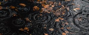 Preview wallpaper puddle, rain, drops, leaves, autumn