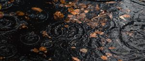 Preview wallpaper puddle, rain, drops, leaves, autumn