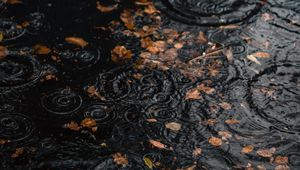 Preview wallpaper puddle, rain, drops, leaves, autumn