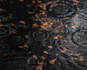 Preview wallpaper puddle, rain, drops, leaves, autumn