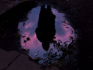 Preview wallpaper puddle, reflection, silhouette, alone, dark, water