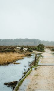 Preview wallpaper puddle, road, wet, nature