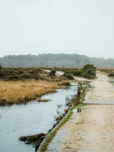 Preview wallpaper puddle, road, wet, nature