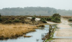 Preview wallpaper puddle, road, wet, nature