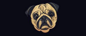 Preview wallpaper pug, dog, art, cute