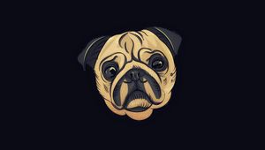 Preview wallpaper pug, dog, art, cute