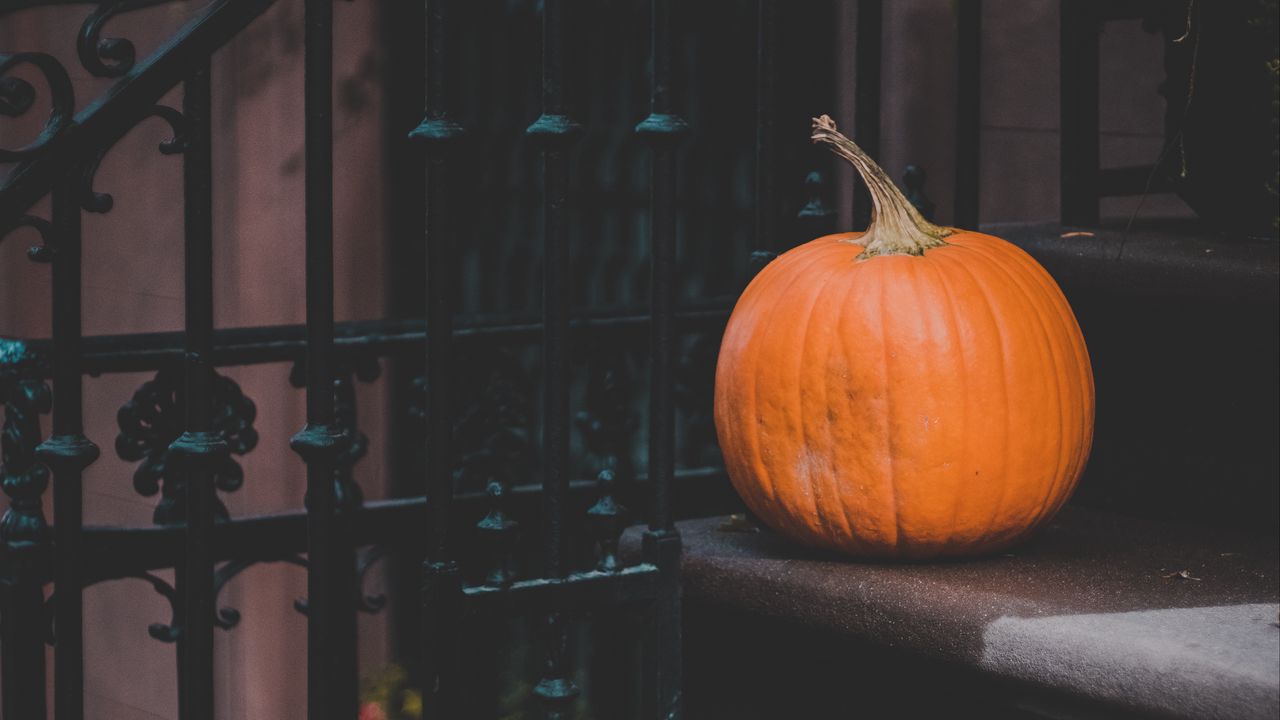 Wallpaper pumpkin, autumn, harvest